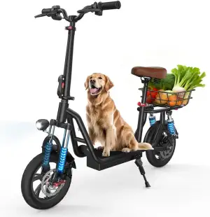 i12 Elektroroller Erwachsene 500W, E Scooter mit Sitz, 20 km/h, 30–35 km Reichwe