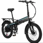 20F063 Elektrofahrrad 20 Zoll E-Bike, 48V 11.6Ah Akku herausnehmbar, 250W Motor, LCD-Display, 7-Gang, Reichweite 55-80 km, 25 km/h, IPX5 wasserdicht für Erwachsene