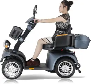 DJ-1000-S25-Elektromobil-Mobilitätsroller mit 4 Rädern-Seniorenmobil (Matt-schwa