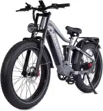 RZOGUWEX Elektrofahrrad, 26-Zoll-Offroad-EBIKE für Erwachsene mit abnehmbarem 48-V-25-Ah-Lithium-Ionen-Akku, 7 Gängen mit Doppelstoßdämpfern und doppelter hydraulischer Scheibenbremse (schwarz)
